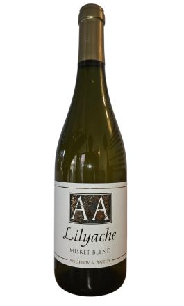 LILYACHE MISKET BLEND 2024