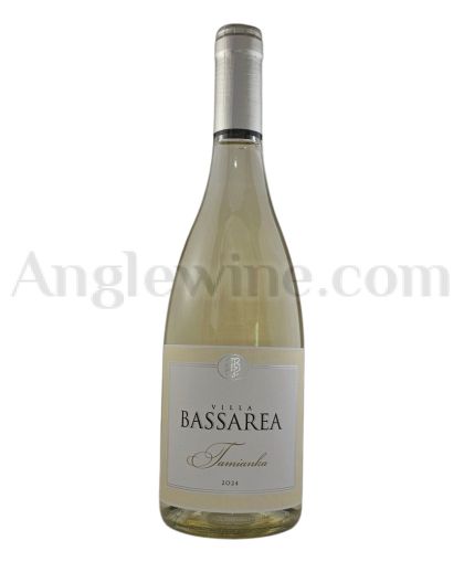 VILLA BASSAREA TAMYANKA 2024