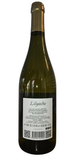 LILYACHE MISKET BLEND 2024